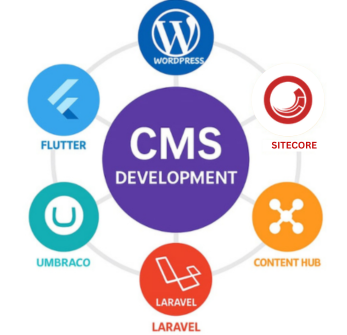 CMS Development